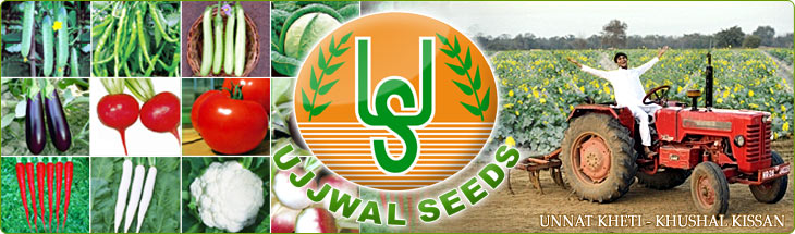 Ujjwal Products