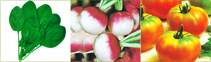 Ujjwal Products