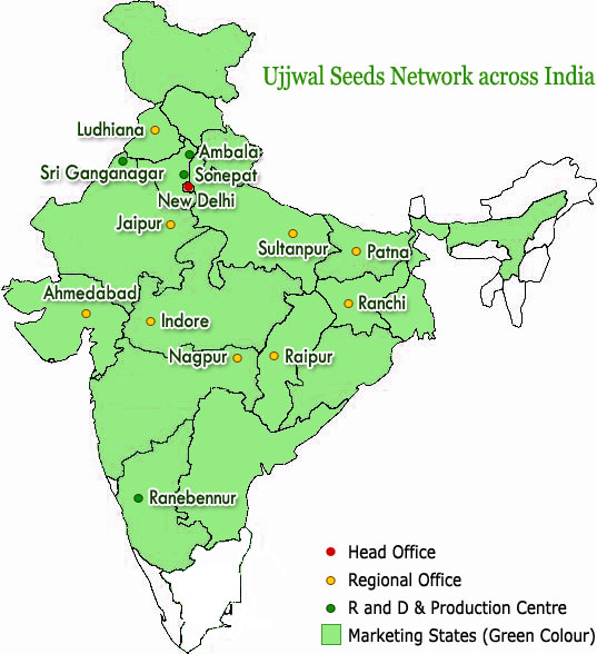 Ujjwal Network